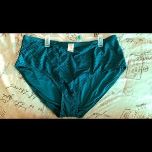 Terra Sky teal plus size bathing suit bottoms